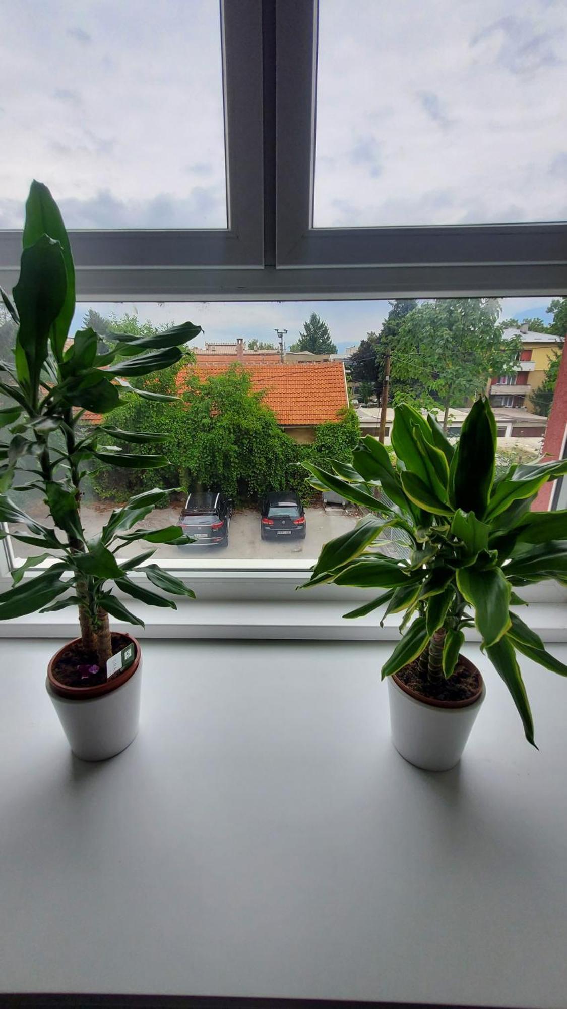 Apartmani Blue I Green Bugojno Bagian luar foto